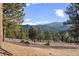 Idyllic scene of the yard backing to mountain landscape, tall evergreen trees, and open space at 127 Granite Way, Evergreen, CO 80439