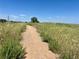 Scenic nature path with a view of greenery and blue sky, perfect for outdoor enjoyment at 5554 Crystal Way, Denver, CO 80239