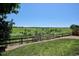 Expansive backyard features lush green lawn, trees, and lovely views of the neighborhood at 984 Shadow Mountain Dr, Highlands Ranch, CO 80126