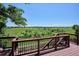 A view from the deck looks out onto a tranquil view of the lush green landscape beyond at 984 Shadow Mountain Dr, Highlands Ranch, CO 80126