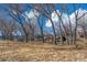 A public playground with a swing set and culvert set within a scenic community park at 7765 Yankee Ct, Arvada, CO 80007