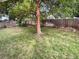 A fully fenced backyard with tree and grass at 14822 E Adriatic Pl, Aurora, CO 80014