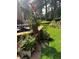 Lush backyard featuring vibrant flowers, manicured lawn, and inviting outdoor bench at 4407 Delaware Dr, Larkspur, CO 80118
