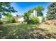 Large backyard with mature trees, a picnic table, and ample space for outdoor activities at 978 S Salida St, Aurora, CO 80017