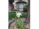 Charming front yard with a well-maintained lawn and a beautiful white lily in the landscaping at 270 Terra Vista St, Brighton, CO 80601