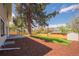 Large, fully-fenced backyard with mature trees and lush green lawn at 11383 W 28Th Ave, Lakewood, CO 80215