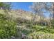 Lush backyard with rocks, greenery, and a hill in the background at 424 Peery Pkwy, Golden, CO 80403