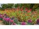Lush garden featuring a variety of colorful flowers and foliage, adding natural beauty to the landscape at 1356 N Marion St, Denver, CO 80218