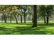 A view of a verdant urban park with large trees that provide ample shade on a bright, sunny day at 1356 N Marion St, Denver, CO 80218