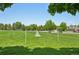 Large grassy community field with soccer goal, mature trees, and blue skies at 8653 E Dry Creek Rd # 1121, Englewood, CO 80112