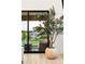 Patio view with potted plant, furniture and backyard at 303 Rogers Ct, Castle Rock, CO 80104