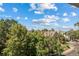 Serene views from the condo of the city skyline beyond the treeline at 1350 Josephine St # 508, Denver, CO 80206