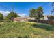 This is a view of an overgrown back yard with wood fence and vegetation at 695 S Quitman St, Denver, CO 80219
