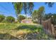 This is a view of an overgrown back yard with wood fence and vegetation at 695 S Quitman St, Denver, CO 80219