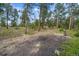 Natural backyard with mature trees and landscaping, creating a serene setting for outdoor activities and relaxation at 26452 Wolverine Trl, Evergreen, CO 80439