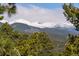 Breathtaking mountain views can be seen above tree-covered landscape at 26452 Wolverine Trl, Evergreen, CO 80439