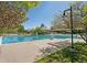 Large community pool surrounded by lounge chairs and mature trees on a sunny day at 10330 Lions Path, Lone Tree, CO 80124