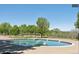 Community pool surrounded by lush greenery and a safety fence on a bright day with a clear blue sky at 10330 Lions Path, Lone Tree, CO 80124