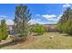 Expansive backyard with mature trees, offering a private and serene outdoor space at 11957 S Swift Fox Way, Parker, CO 80134