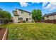 Spacious backyard features a large grassy area, patio, wood fence, and mature trees at 1248 Button Rock Dr, Longmont, CO 80504