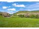 Wide view of the property with the main house and carriage house with lush, green fields at 9650 S Cougar Rd, Littleton, CO 80127