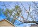 Close up detail of landscaping near the house with fresh blooms at 504 Martin St, Longmont, CO 80501