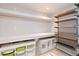 Well-organized pantry with shelving and storage solutions, ideal for a modern home at 9169 Fox Fire Way, Highlands Ranch, CO 80129