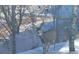 A deer with large antlers in a snowy, wooded area stands among snowy bushes and trees at 11827 Brook Rd, Golden, CO 80403