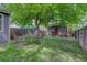 Green backyard with mature tree providing shade, perfect for outdoor activities at 4301 Zuni St, Denver, CO 80211