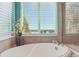 Bathroom with large soaking tub and window with mountain views at 1430 Milbury St, Castle Rock, CO 80104