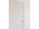 A retro door with a crystal handle and a unique art deco design at 1010 N Jasmine St, Denver, CO 80220