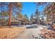 Exterior shot of the house, showing the long, paved driveway and surrounding trees at 1692 Sand Lily Dr, Golden, CO 80401