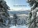 Scenic winter view from the kitchen window overlooking snow-covered mountains and trees at 1692 Sand Lily Dr, Golden, CO 80401