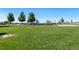 Expansive community playground area features lush green lawns and a variety of play structures for Gathering fun at 6849 E Lowry Blvd, Denver, CO 80230