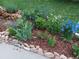 Beautiful garden with vibrant flowers, a rock water feature, and lush greenery at 5520 Morgan Way, Frederick, CO 80504