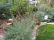Beautifully landscaped yard featuring vibrant plants, rock borders, and garden art for a serene setting at 5520 Morgan Way, Frederick, CO 80504