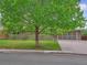Charming ranch-style home with a mature tree, lawn, and paved driveway at 423 Empire St, Aurora, CO 80010
