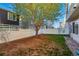 Landscaped backyard with large tree and white vinyl fence at 4705 Andes St, Denver, CO 80249