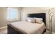 Bedroom with a large bed, bedside lamp, and bright window at 1382 Raindrop Way, Castle Rock, CO 80109