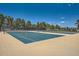 Outdoor tennis courts with well-maintained surface and nets, surrounded by lush trees under a clear blue sky at 24487 E Frost Dr, Aurora, CO 80016