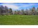 Expansive lawn surrounding a beautiful home, partially obscured by mature trees at 4480 S Franklin St, Cherry Hills Village, CO 80113