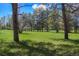 Lush green lawn surrounded by tall trees, creating a secluded and peaceful atmosphere at 4480 S Franklin St, Cherry Hills Village, CO 80113