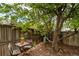 A tranquil backyard setting with a bistro table, chairs, and shade under a tree by a wooden fence at 7072 Palisade Dr, Highlands Ranch, CO 80130