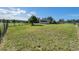 This large grassy backyard features a fence and mature tree, offering privacy and plenty of space for outdoor activities at 497 Grey Squirrel Way, Franktown, CO 80116