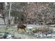Backyard featuring a deer, snow, bird bath and a beautiful tree at 22386 E Arbor Pl, Aurora, CO 80016