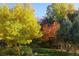 Yard with mature colorful trees on a lush lawn under a clear blue sky at 22386 E Arbor Pl, Aurora, CO 80016