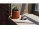 Potted succulent plants on a window sill with natural sunlight at 2261 Blake St # 5H, Denver, CO 80205