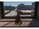 View of the city from a window with a small potted succulent in the foreground at 2261 Blake St # 5H, Denver, CO 80205