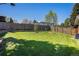 Large grassy backyard features a privacy fence and mature trees at 90 Ammons St, Lakewood, CO 80226