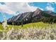 Beautiful mountain view featuring lush green meadows and vibrant blooming flowers in the foreground at 1835 Columbine Ave, Boulder, CO 80302